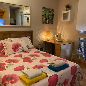 Meuble Tourisme Carmes 2 Etoiles, Entree Autonome,wifi, Climatise, Petit Parking Prive Apartment
